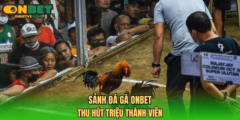 Sảnh đá gà ONBET thu hút triệu thành viên